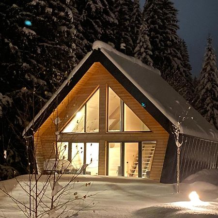 Chalet Belveder Horska Chata Železná Ruda Exterior foto