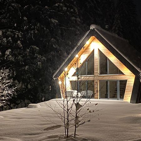 Chalet Belveder Horska Chata Železná Ruda Exterior foto