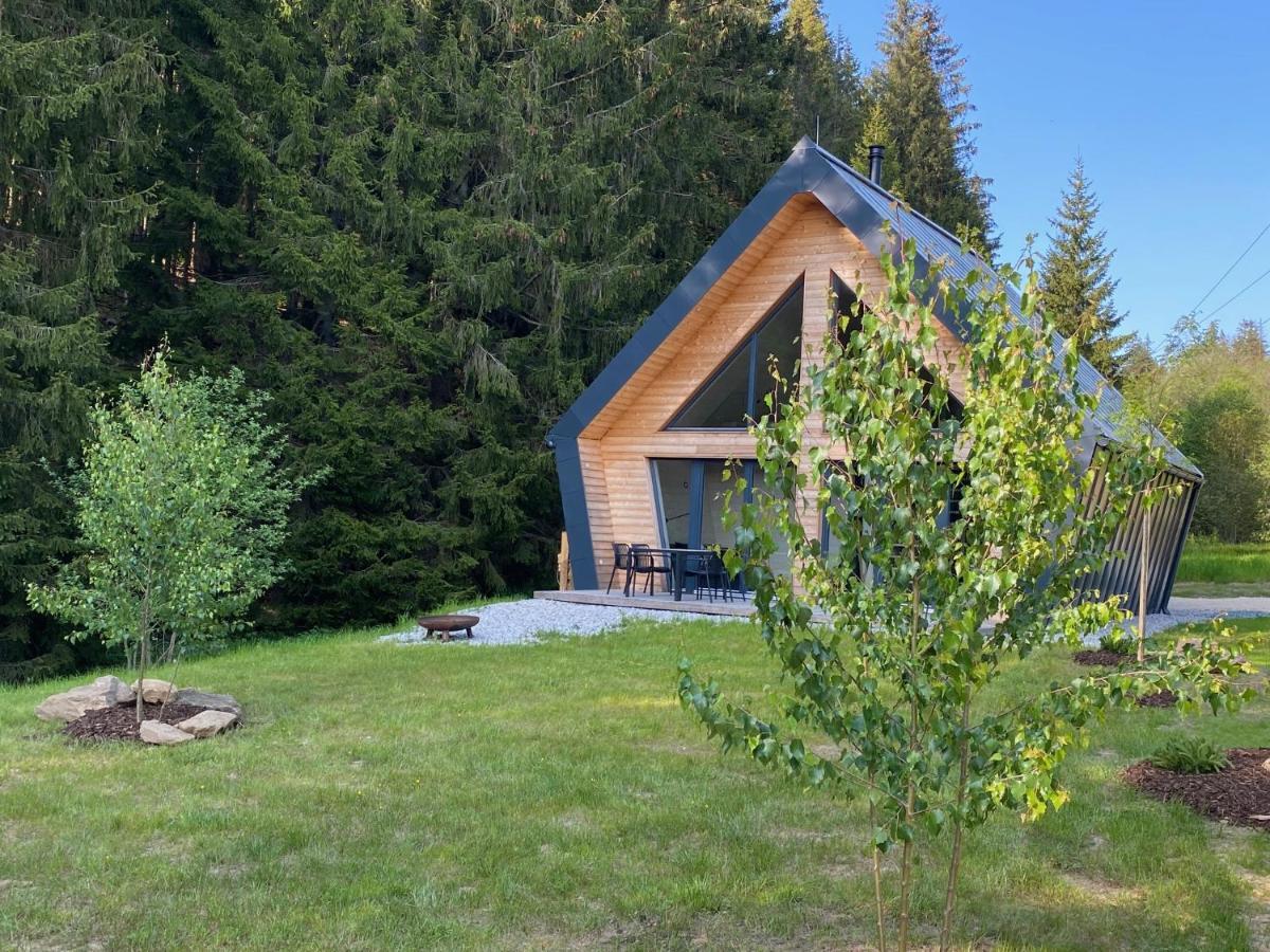 Chalet Belveder Horska Chata Železná Ruda Exterior foto